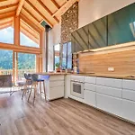 Duplex Sauna Prive Venosc Le 1618 Apartment Les Deux Alpes