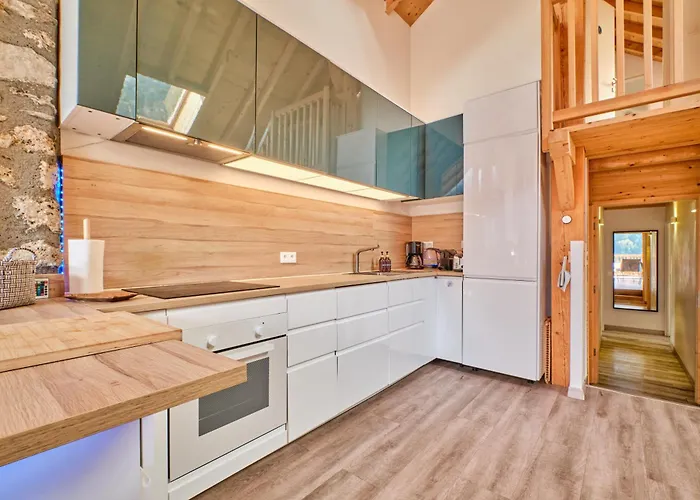 Duplex Sauna Privé Vénosc Le 1618 *