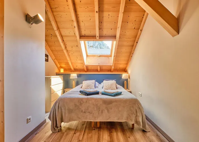 Duplex Sauna Privé Vénosc Le 1618 *